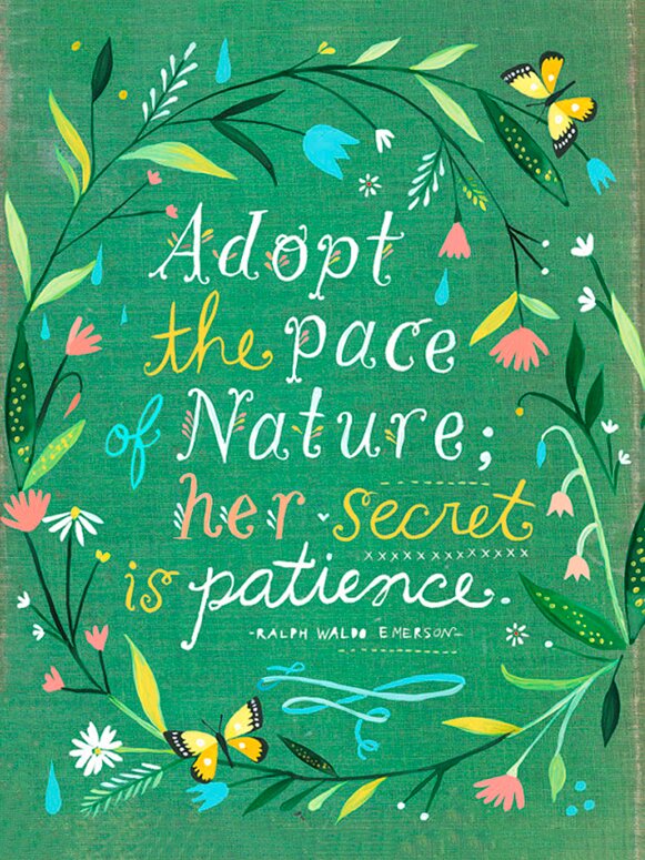 'Pace of Nature' by Katie Daisy Textual Art on Paper with Emerson quote. Happy LOVE Day, Lovelies! Poetry, handlettered art, and colorful Valentine's Day finds await on Hello Lovely Studio!