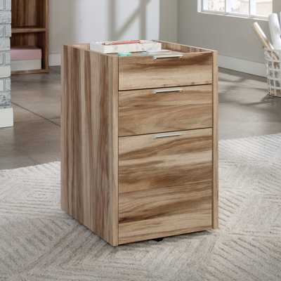 Bonilla 2-Drawer Mobile Vertical Filing Cabinet