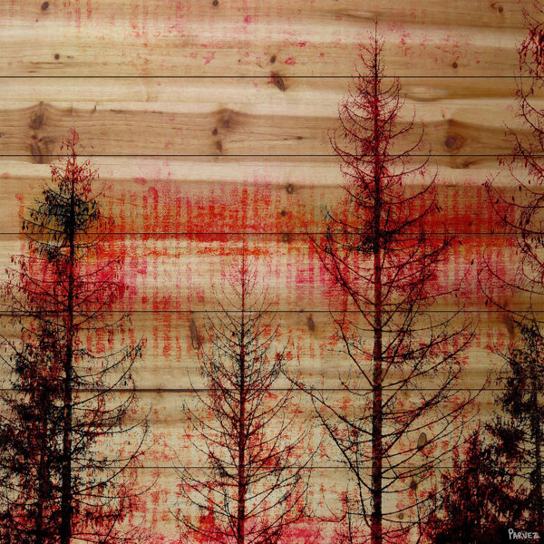 Enchanted Tree Forest Scenery Framed 5 Piece Canvas Wall Art