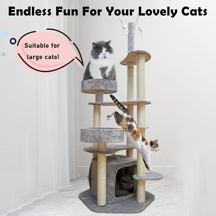large cat climbing tower