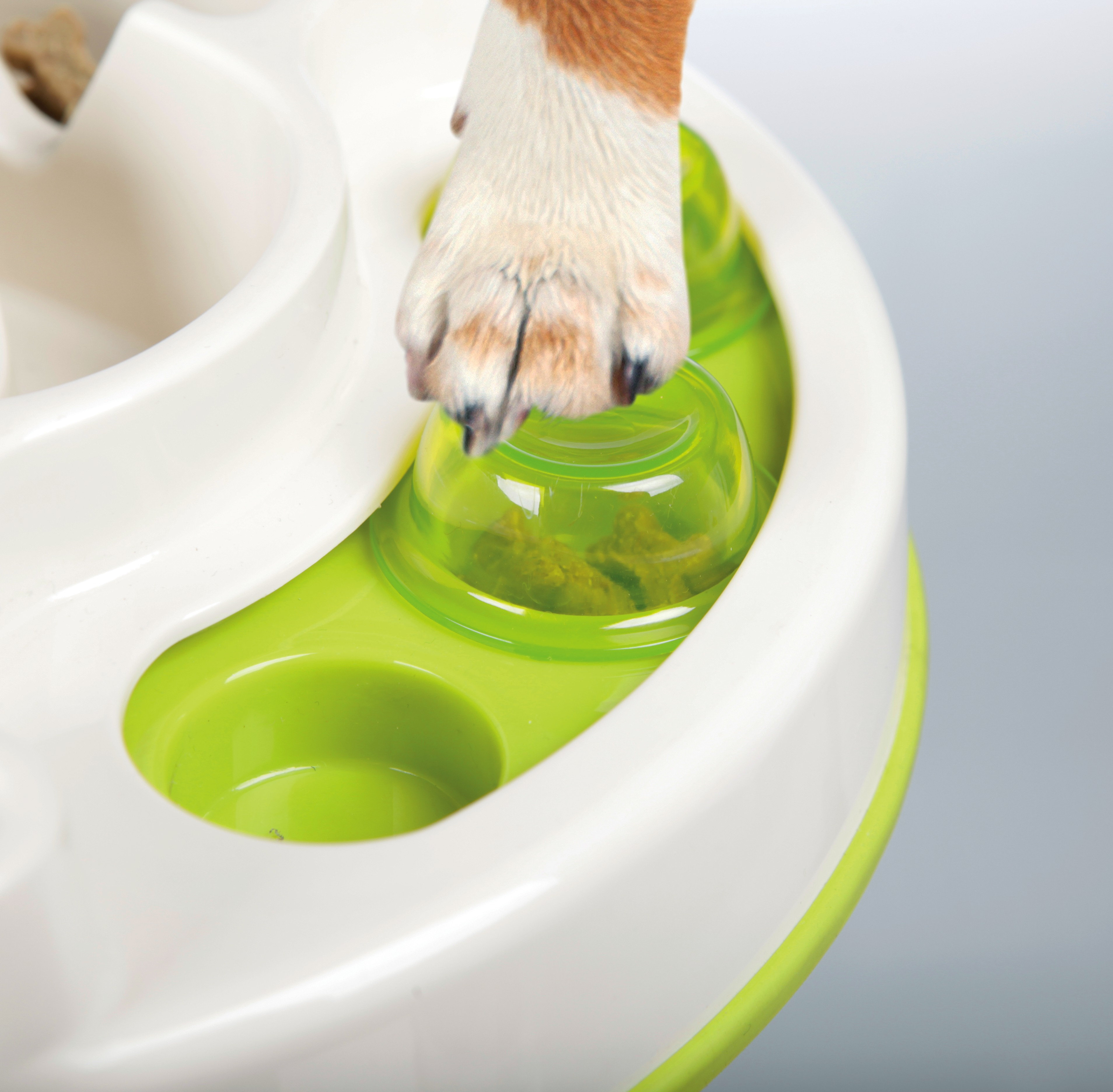 Trixie Activity Slide Slow Feeder Wayfair
