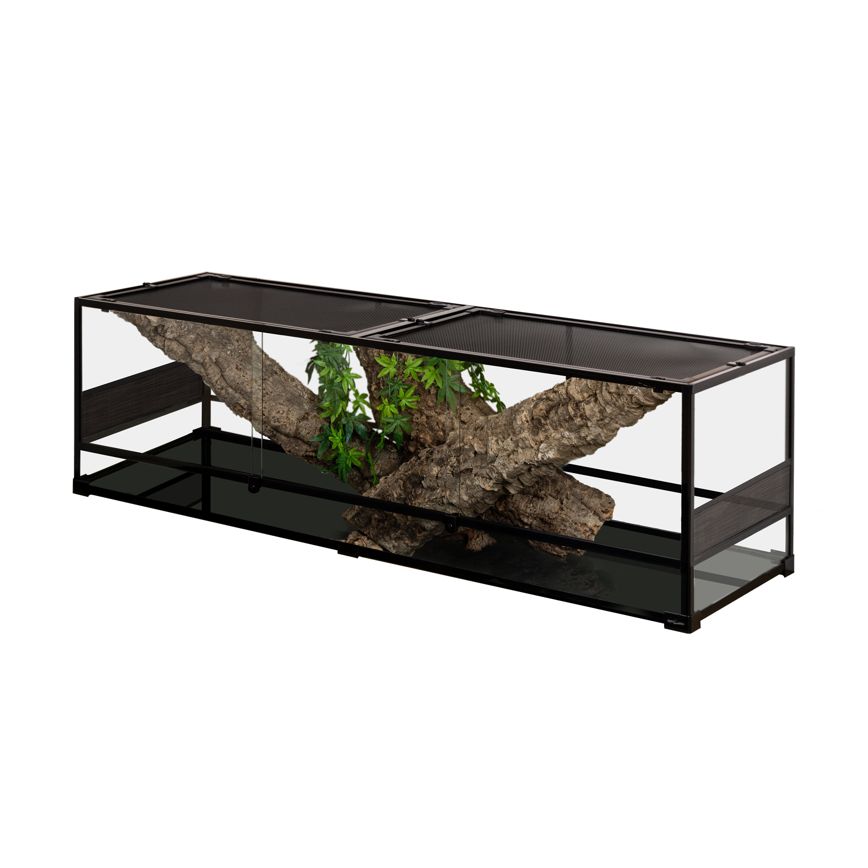 reptile glass terrarium