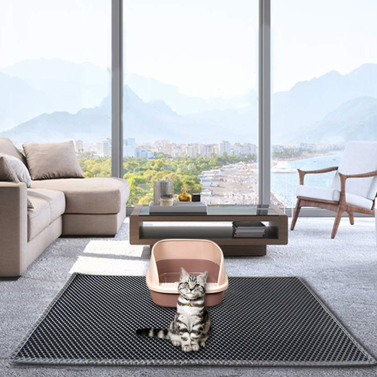 extra large kitty litter mat