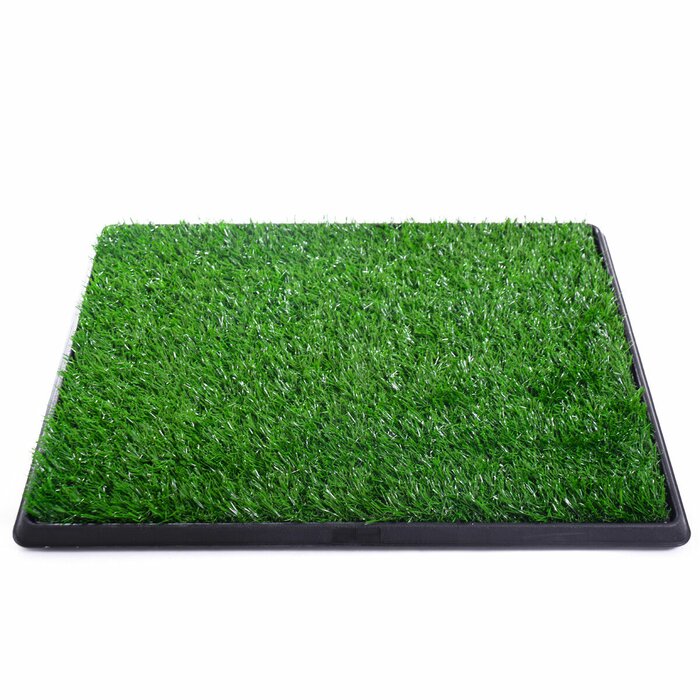 Tucker Murphy Pet Rodarte Training Pee Indoor Dog Grass Mat