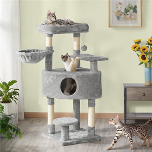 cat tree with curved perch