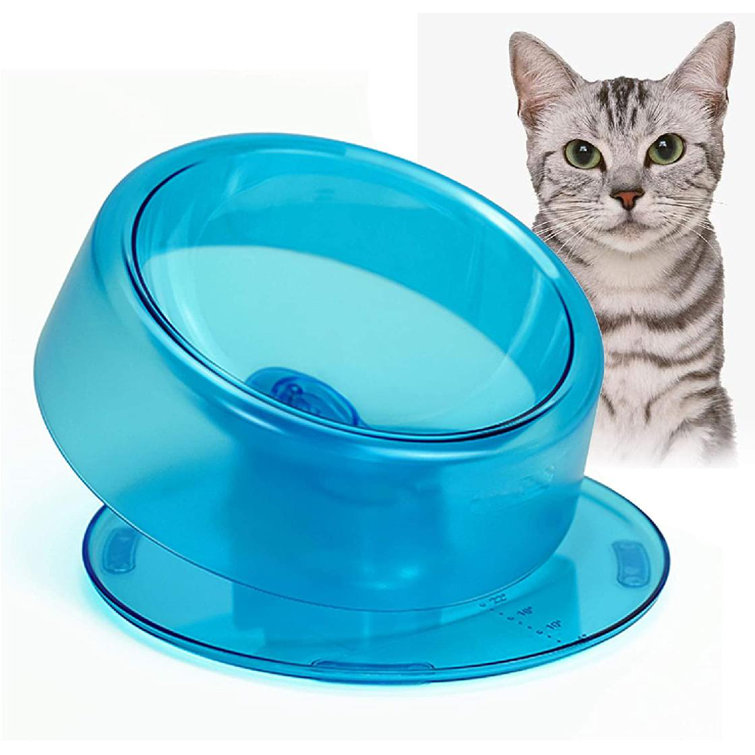 flat cat bowl