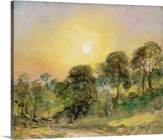 Great Big Canvas Trees On Hampstead Heath At Sunset By John
