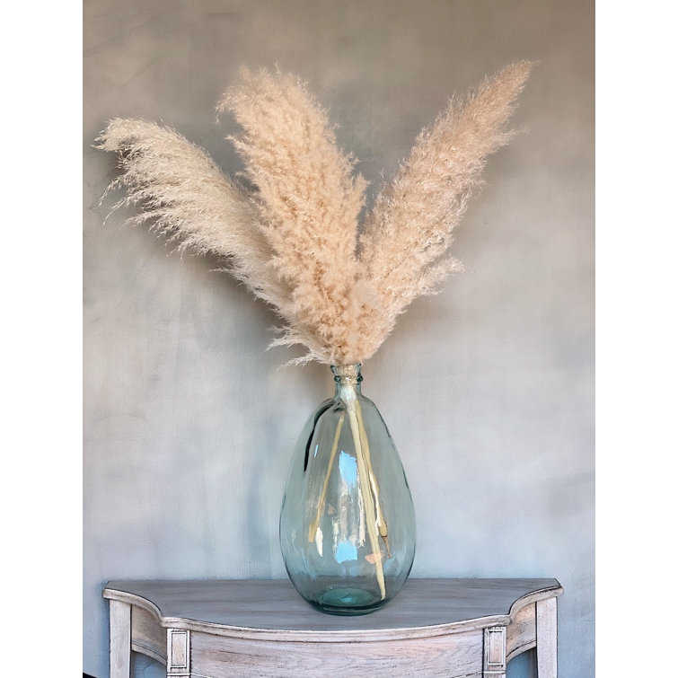 Primrue 3 Piece Preserved Pampas Grass Set & Reviews Wayfair