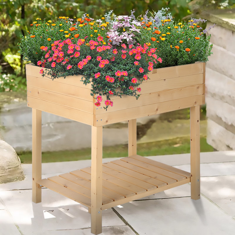 Highland Dunes Orona 3 Ft X 2 Ft Raised Garden Reviews Wayfair Know someone who loves plants? orona 3 ft x 2 ft raised garden