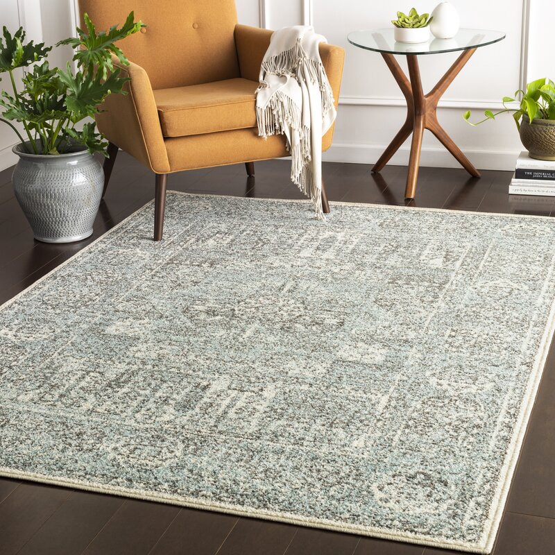 Vanita Distressed Traditional Aqua/Beige Area Rug & Reviews | Joss & Main