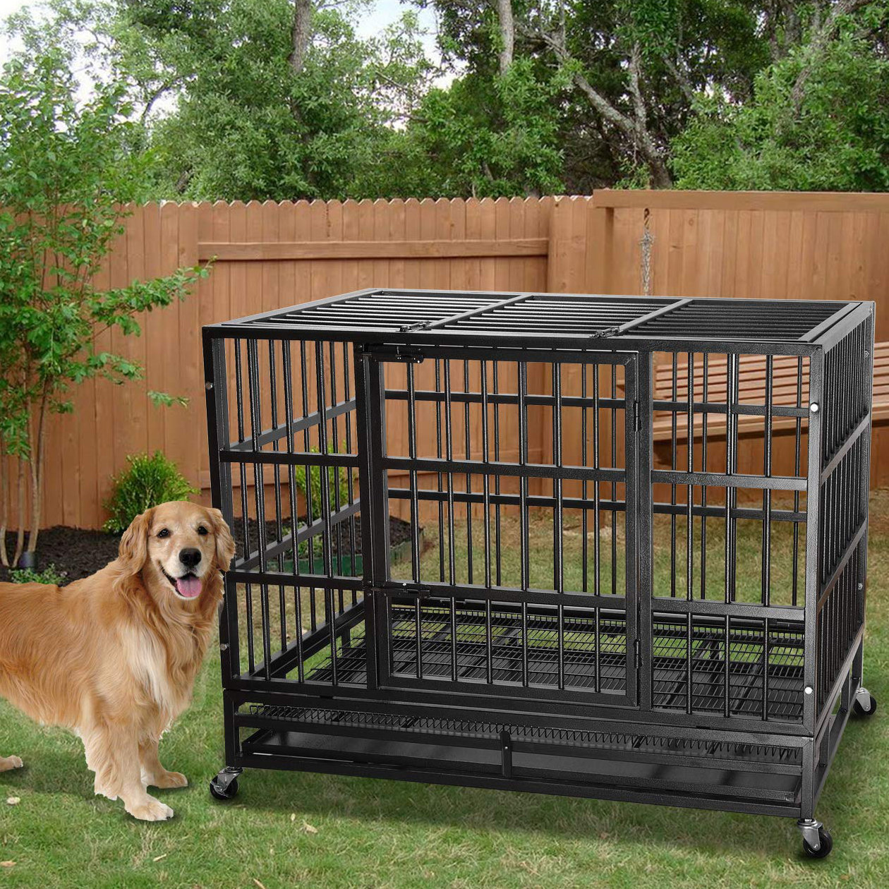free dog crate near me