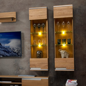 Dalzell 1 Door Display Accent Cabinet ..