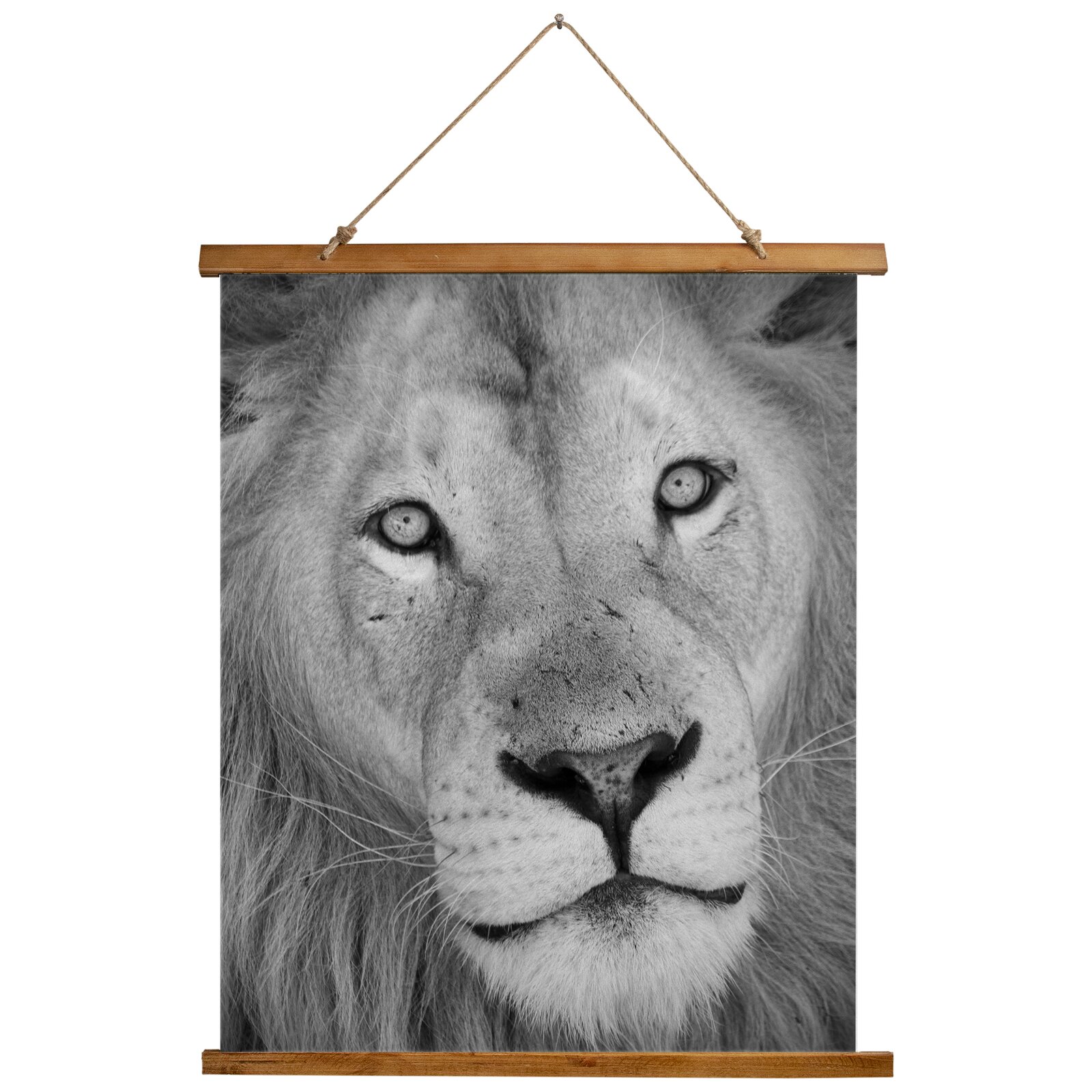 Lion Wall Decorations - Microfiber Lion Tapestry