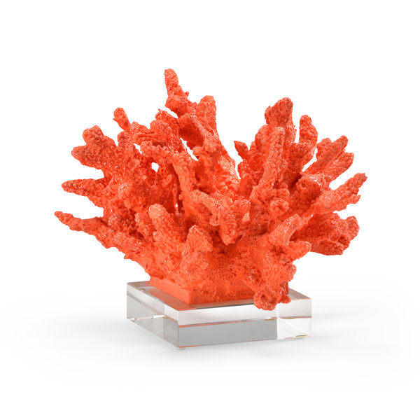 Coral Sculpture Wayfair