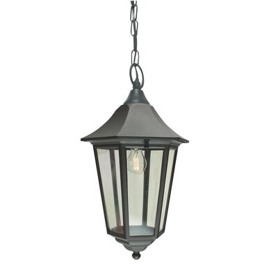 Outdoor Hanging Lights You'll Love | Wayfair.co.uk