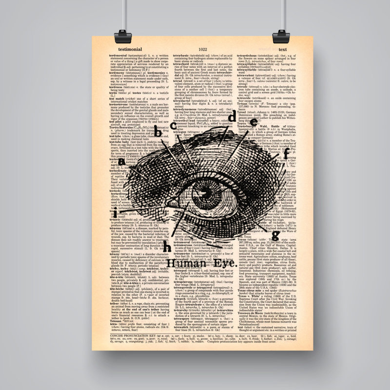 East Urban Home Human Eye By Book Dictionary Art Graphic Art On Paper Wayfair