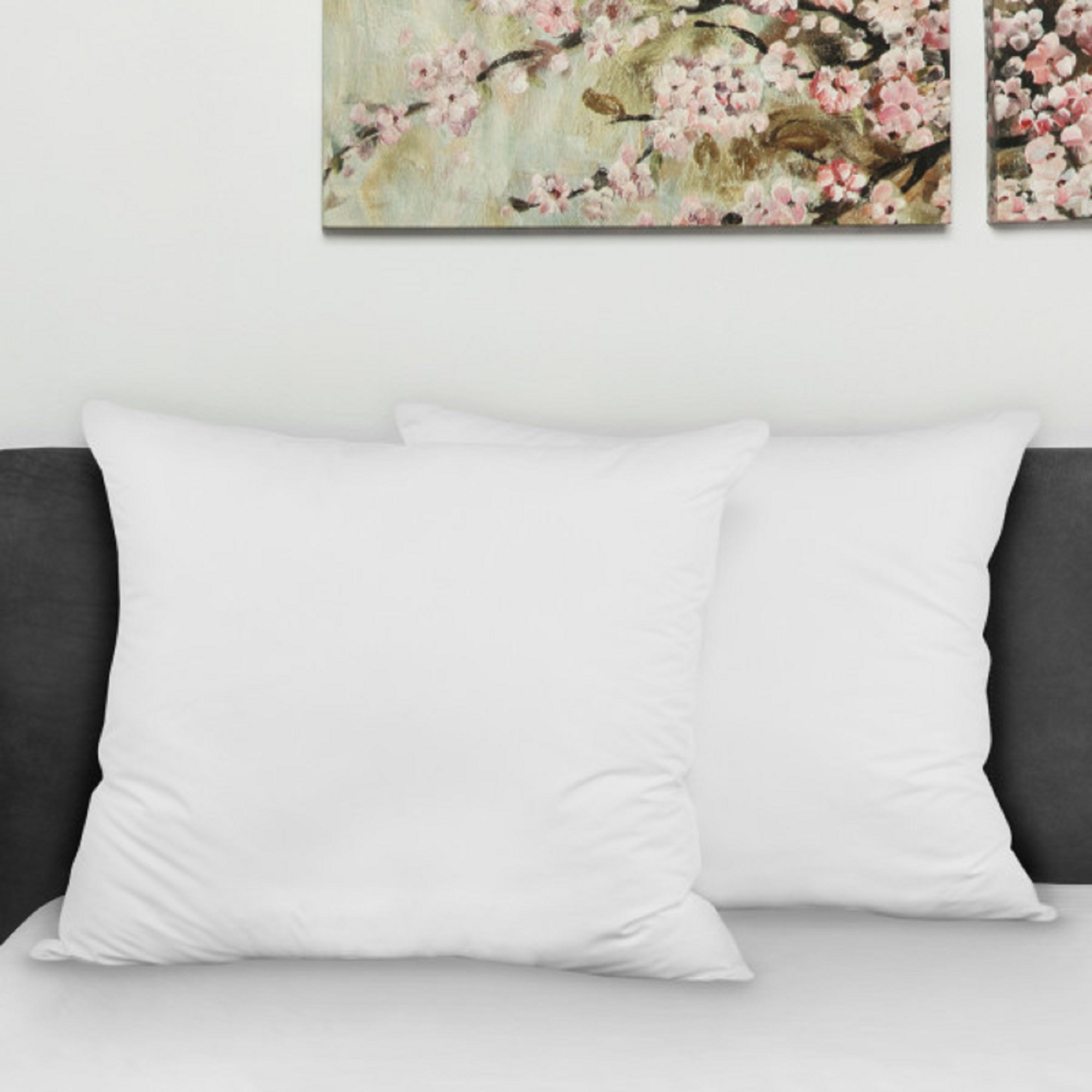 Alwyn Home Natural Euro Polyfill 28 X 28 Pillows Reviews Wayfair