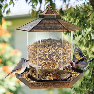 XL Bird House Bird Houses Bird Feeder Feed Dispenser Wood O Stand Varnished N 