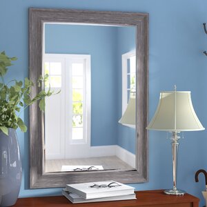 Modesto Transitional Driftwood Wall Mirror