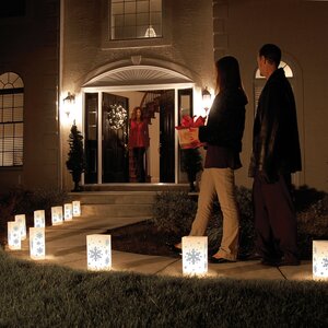 Snowflake 10 Count Electric Luminary Kit