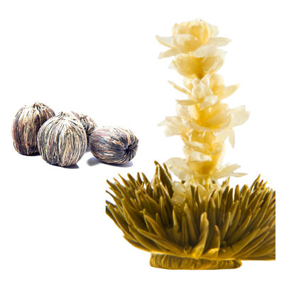 Tea Beyond Exclusive Blooming Jasmine Tea Tea Beyond