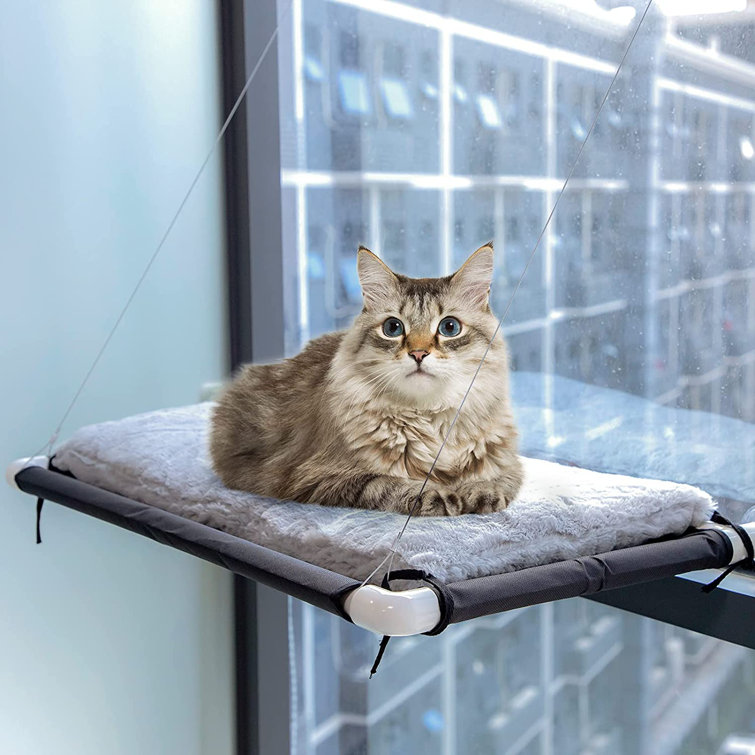 cat hammock for large cats