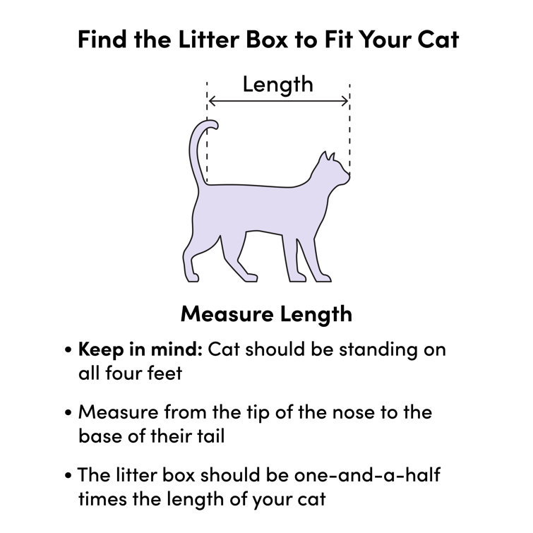 30 inch litter box