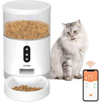 buy automatic cat feeder