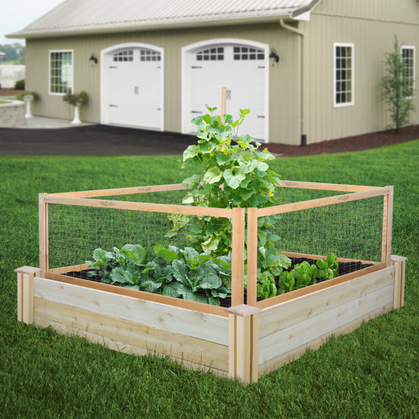 Outdoor Wood Fence Gate Wayfair
