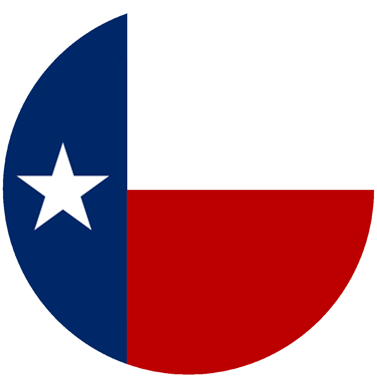 Andreas Silicone Trivets Texas Flag Trivet Wayfair