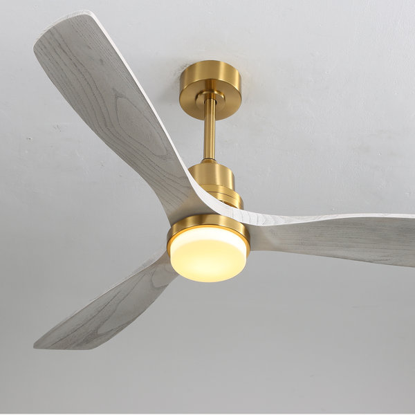 acrylic and gold ceiling fan