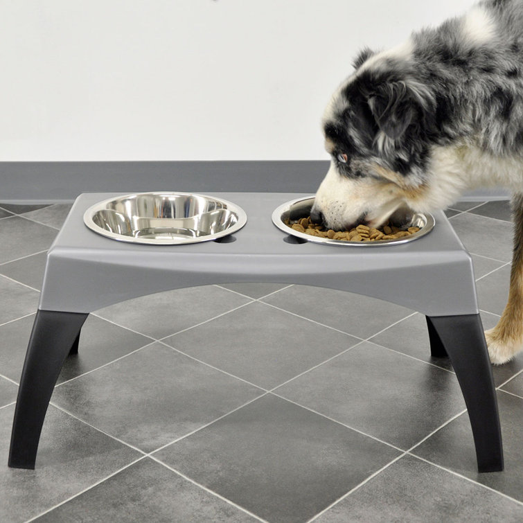 bergan dog feeder