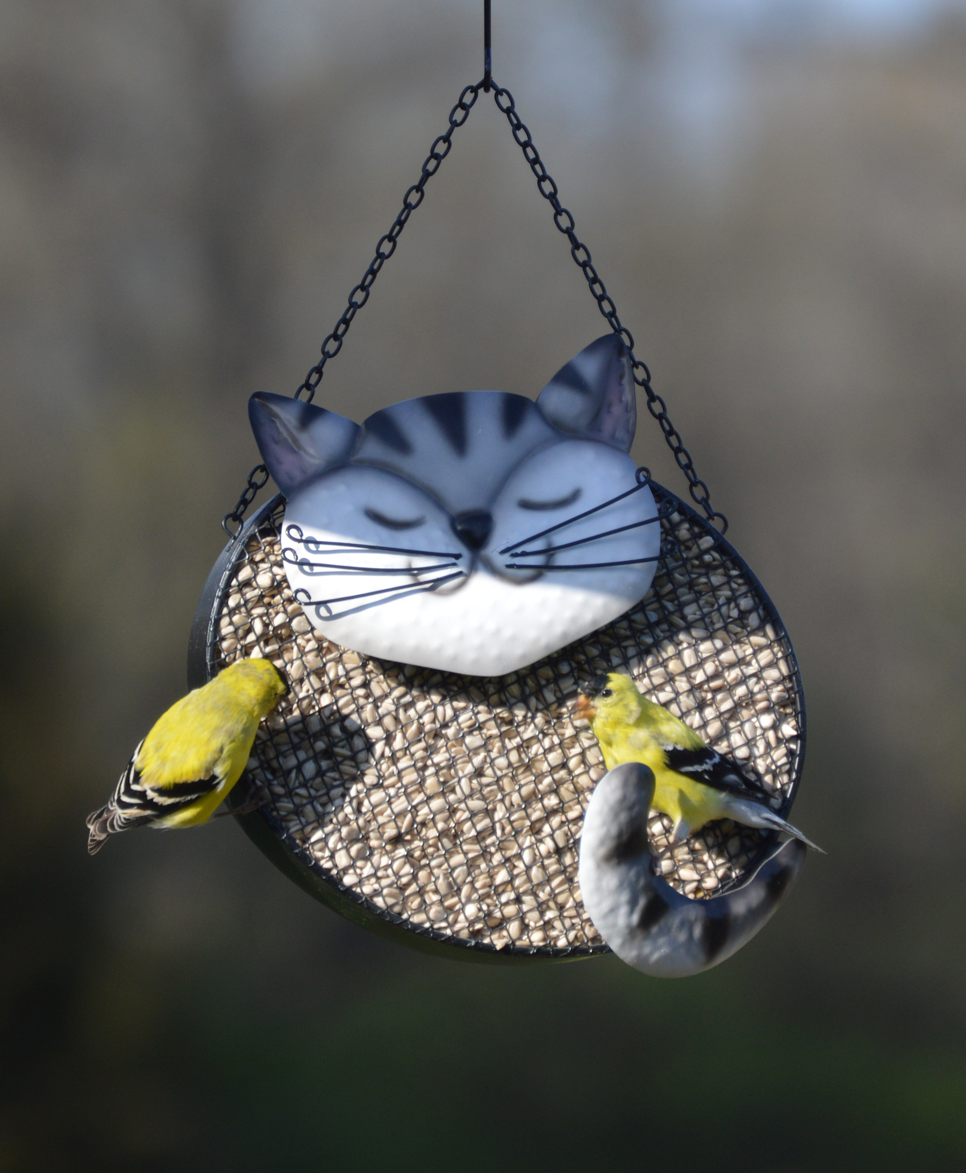Gift Essentials Cat Mesh Decorative Bird Feeder Wayfair