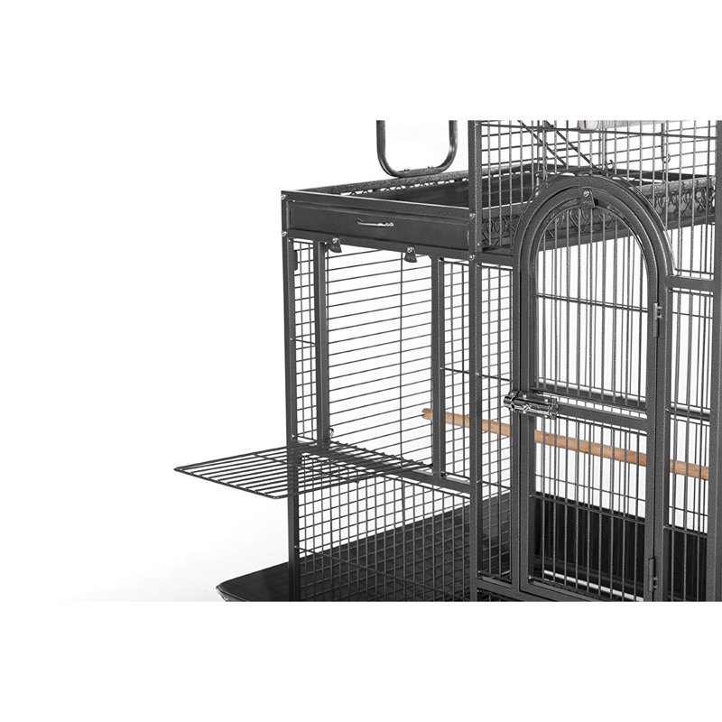 Archie Oscar Eli Deluxe Parrot Bird Cage With Play Top Reviews
