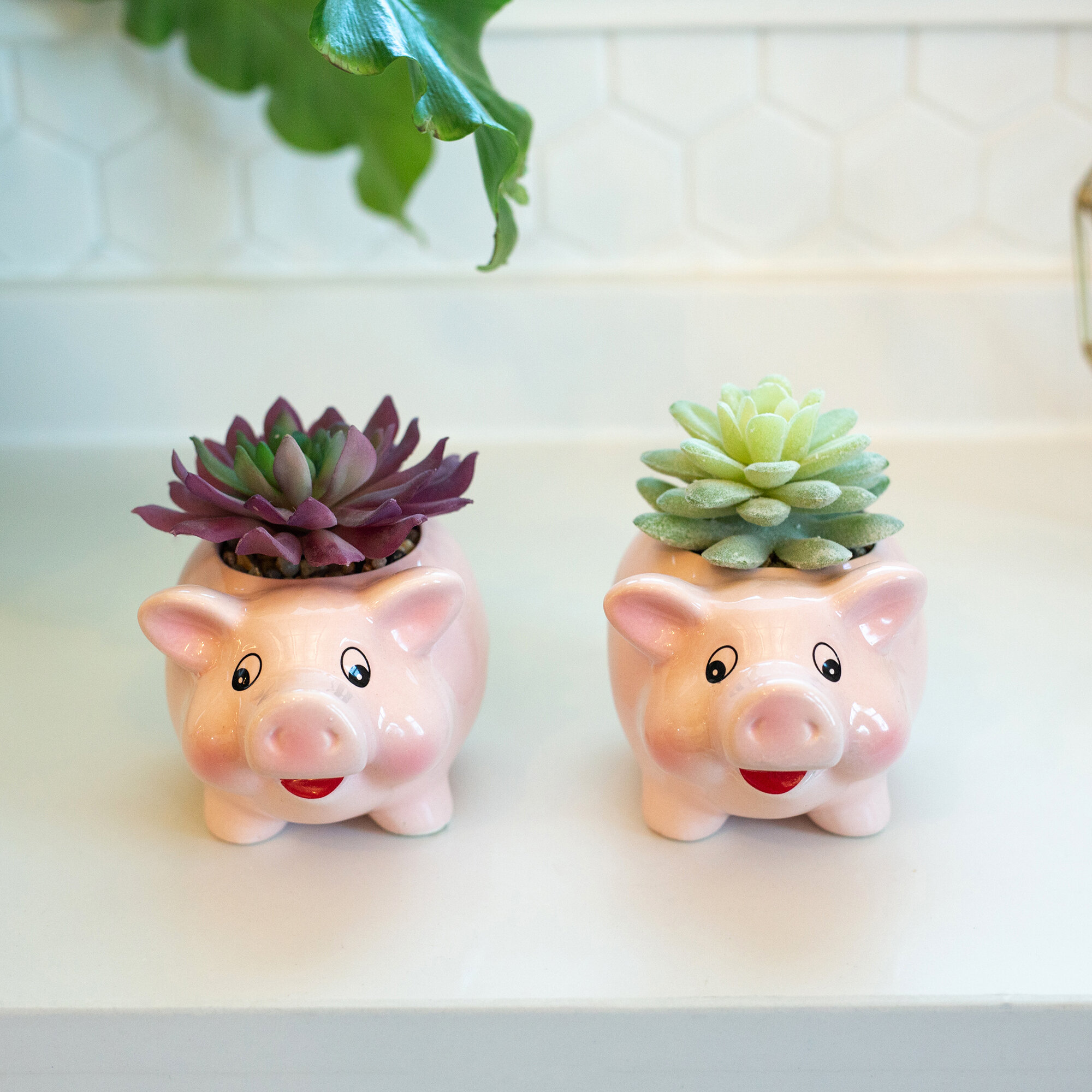 Bungalow Rose 2 Piece Faux Pig Ceramic Agave Plant In Planter Set