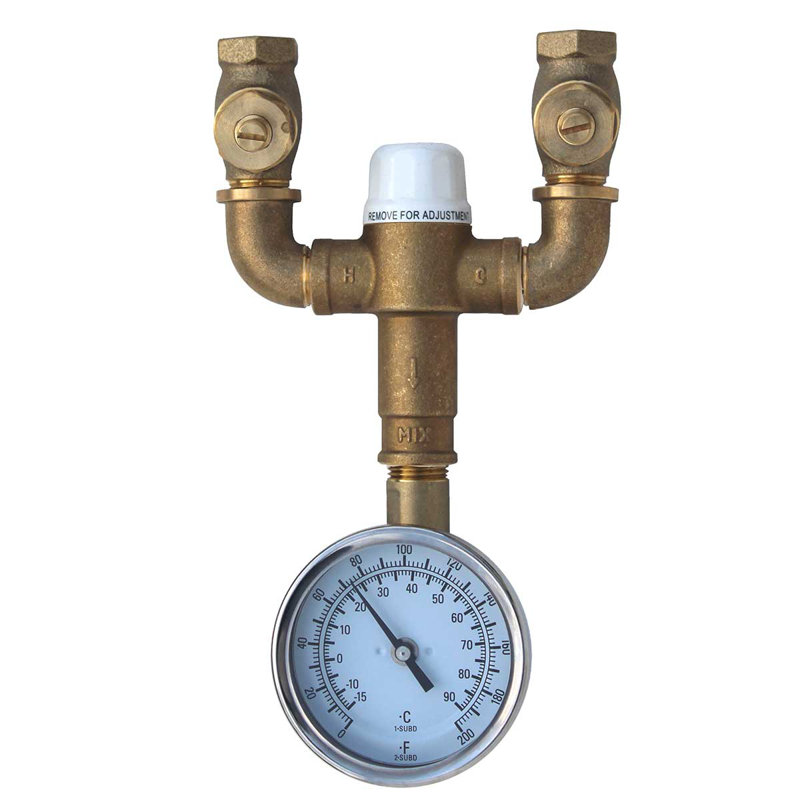 Speakman Safe T Zone Thermostatic Mixing Valve Wayfair