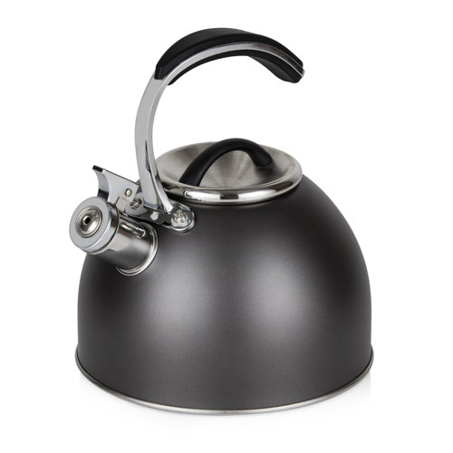 3L Stainless Steel Stovetop Kettle Morphy Richards Colour: Titanium