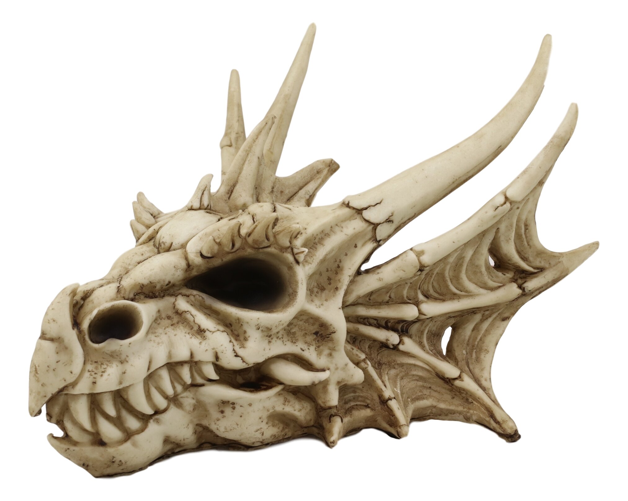 Pendrick Jurassic Grendel Elder Dragon Head Skull Realistic Fossil Figurine