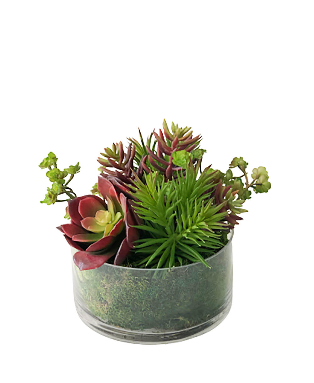 wayfair standing planter on Primrue 3 Piece Artificial Succulent In Planter Set Wayfair