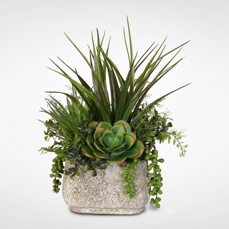 Brayden Studio® Artificial Desktop Succulent Variety Plant in Pot ...