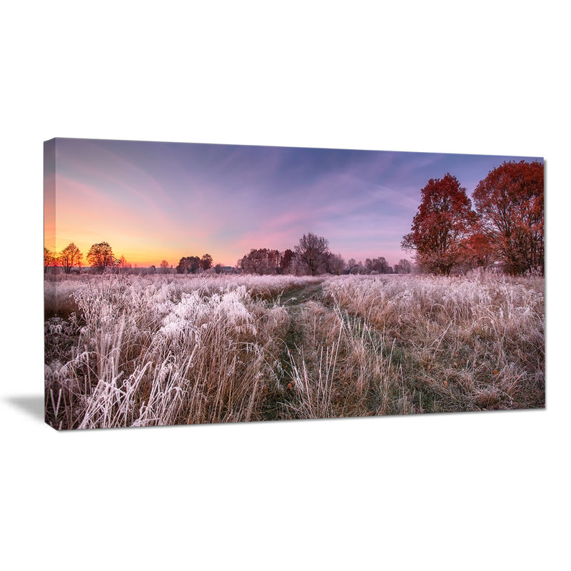 Designart Frosty Fall Trees With Red Leaves Photographic Print On Canvas Wayfair