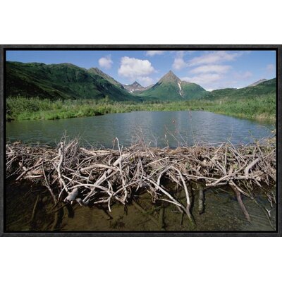 'American Beaver Dam' Framed Photographic Print on Canvas East Urban Home Size: 12