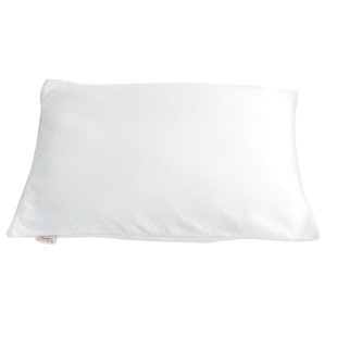 Buckwheat Pillow Wayfair