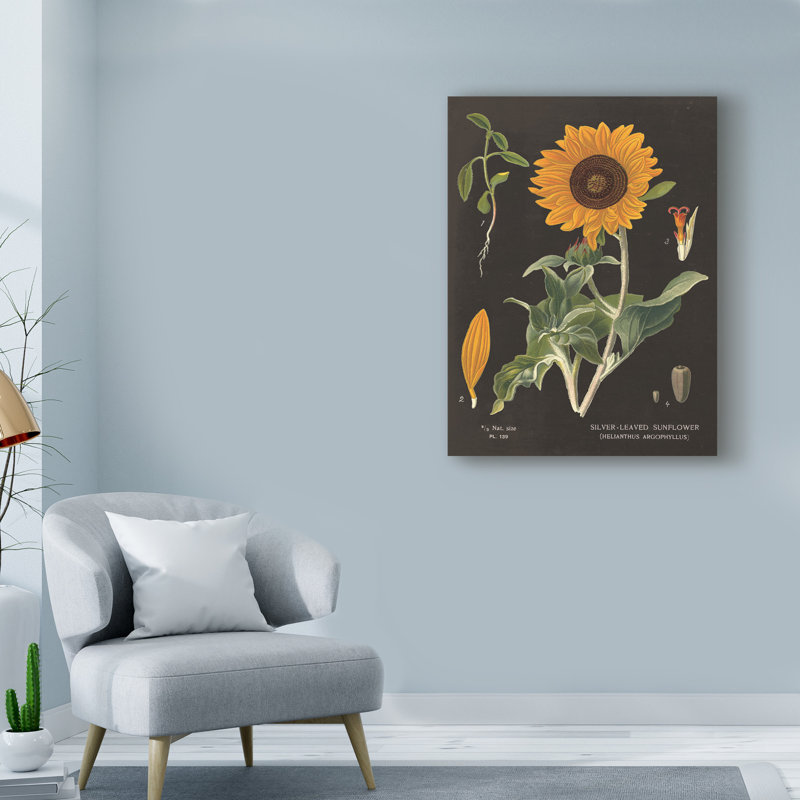 August Grove Sunflower Chart Acrylic Painting Print On Wrapped
