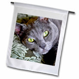 Cat Flags You Ll Love In 2020 Wayfair
