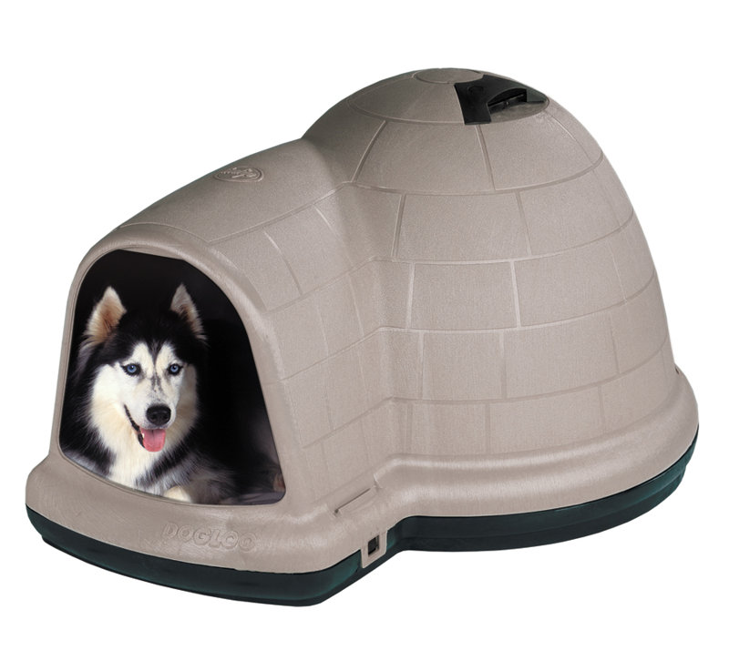 plastic dog kennels igloo