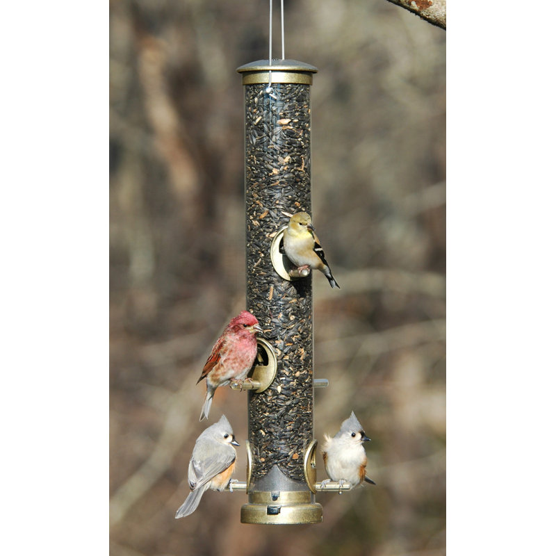 Quick-Clean Seed Tube Bird Feeder