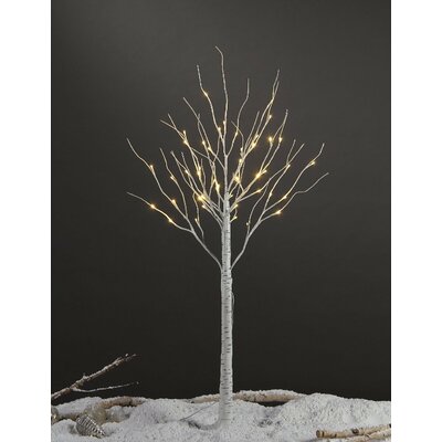 Greyleigh™ 48'' Lighted Trees & Branches & Reviews | Wayfair