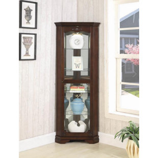 Go to store & view more images Darby Home Co Braintree Lighted Curio Cabinet