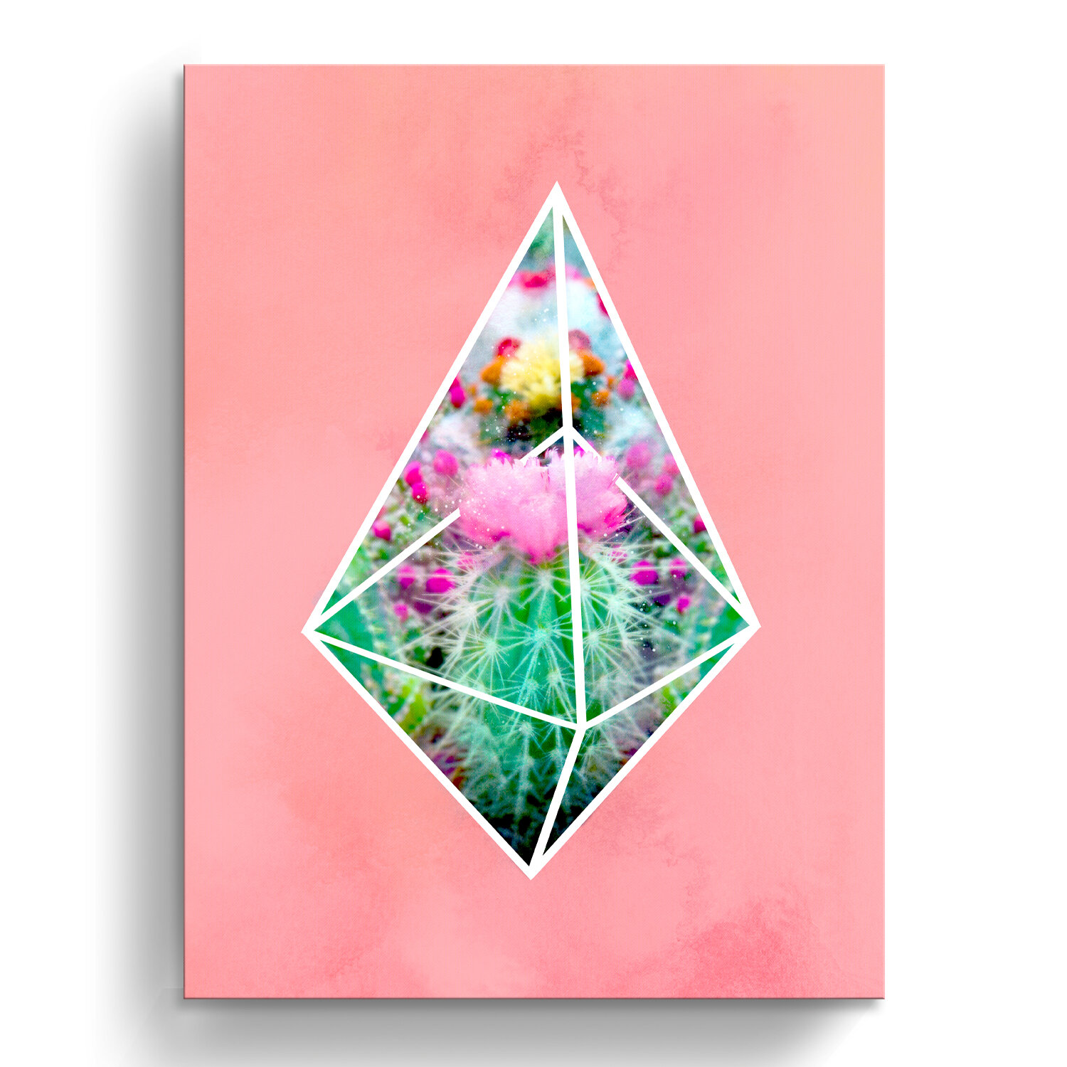 Bungalow Rose Succulent Terrarium Pink Graphic Art On Canvas